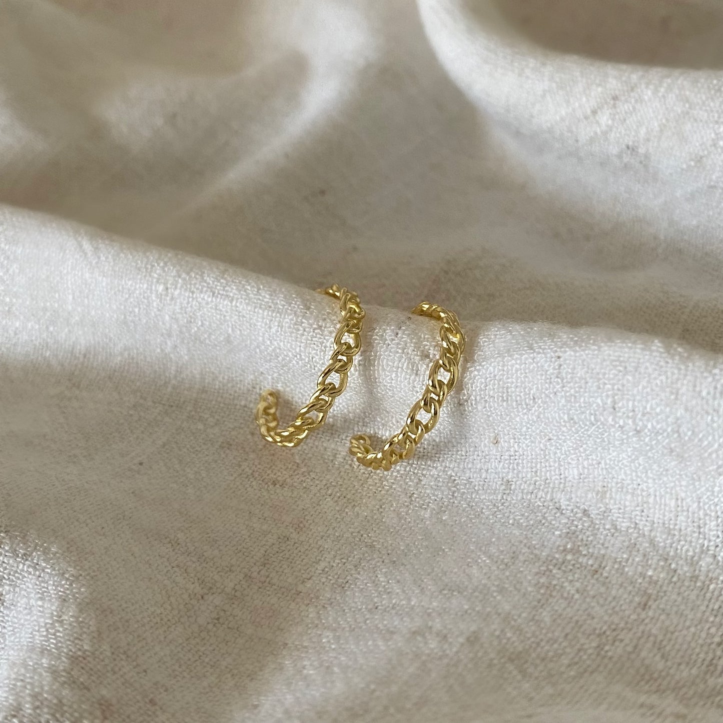Dani Hoop Earrings